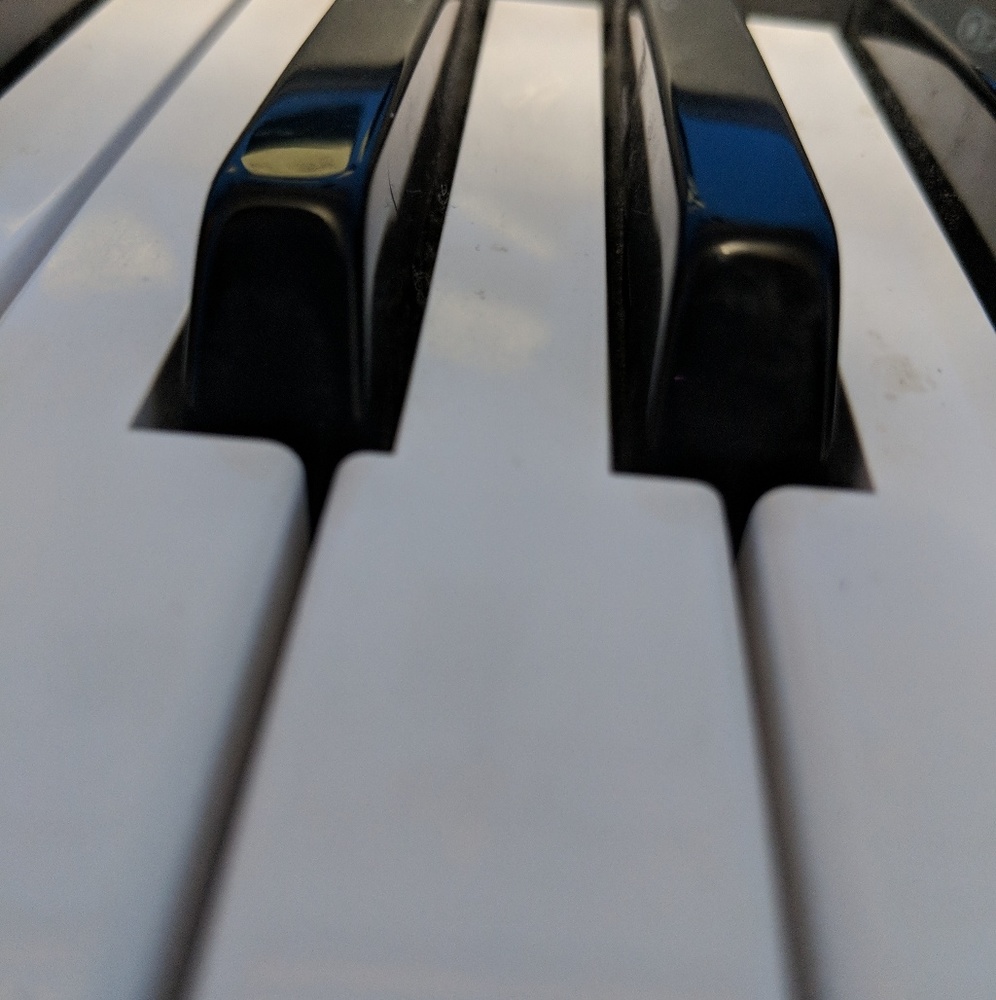 Meet your Posher, Paige